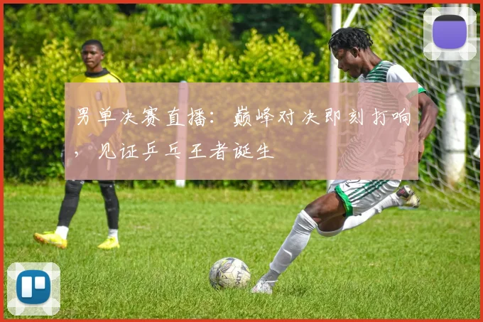 男单决赛直播：巅峰对决即刻打响，见证乒乓王者诞生